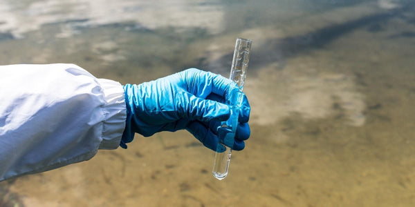 Ett vattenprov vid en sjö