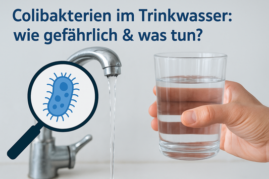 Colibakterien im Trinkwasser: wie gefährlich & was tun?