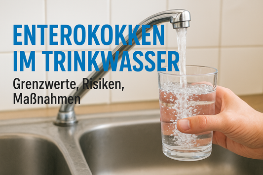 Enterokokken im Trinkwasser: Grenzwerte, Risiken, Maßnahmen