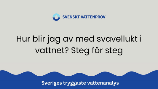 Hur blir jag av med svavellukt i vattnet? Steg för steg