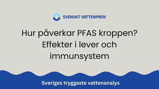 Hur påverkar PFAS kroppen? Effekter i lever och immunsystem