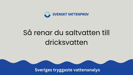 Så renar du saltvatten till dricksvatten