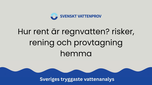 Hur rent är regnvatten? risker, rening och provtagning hemma
