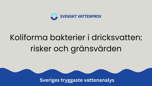 Koliforma bakterier i dricksvatten: risker och gränsvärden