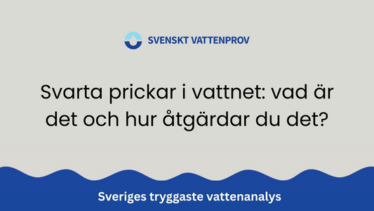 Svarta prickar i vattnet: vad är det och hur åtgärdar du det?