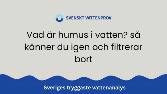 Vad är humus i vatten? så känner du igen och filtrerar bort