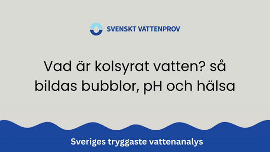 Vad är kolsyrat vatten? så bildas bubblor, pH och hälsa