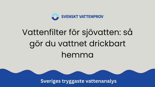 Vattenfilter för sjövatten: så gör du vattnet drickbart hemma