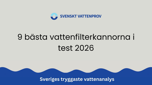 9 bästa vattenfilterkannorna i test 2026