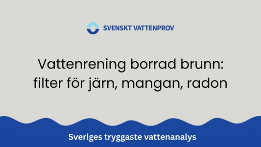 Vattenrening borrad brunn: filter för järn, mangan, radon
